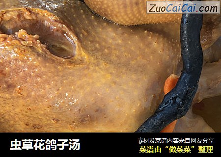 虫草花鸽子汤