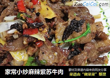 家常小炒麻辣紫苏牛肉