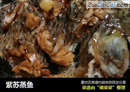 紫苏蒸鱼