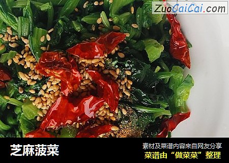 芝麻菠菜
