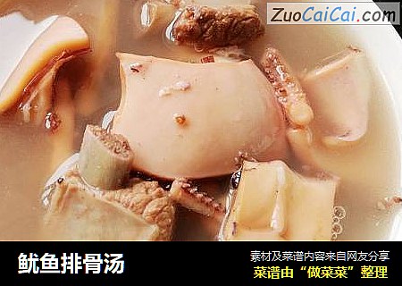 鱿鱼排骨汤