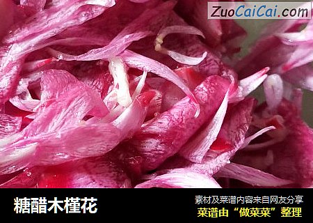 糖醋木槿花