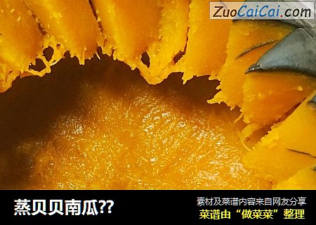 蒸贝贝南瓜??