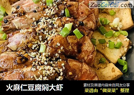 火麻仁豆腐焖大虾