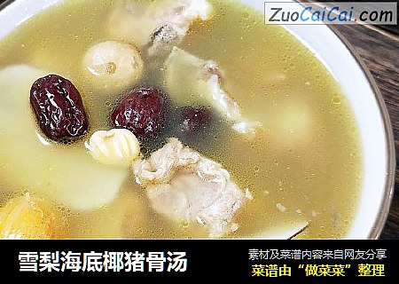 雪梨海底椰猪骨汤