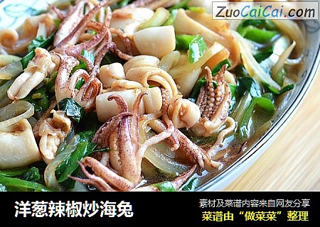 洋葱辣椒炒海兔