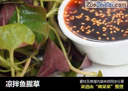 凉拌鱼腥草