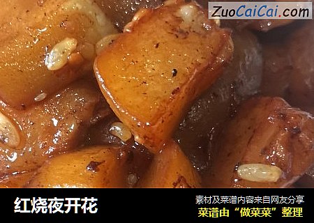 红烧夜开花