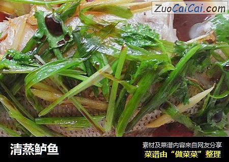清蒸鲈鱼