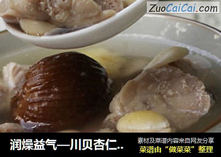润燥益气—川贝杏仁猪肺汤