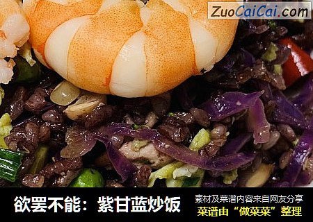 欲罢不能：紫甘蓝炒饭
