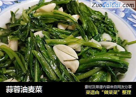 蒜蓉油麦菜