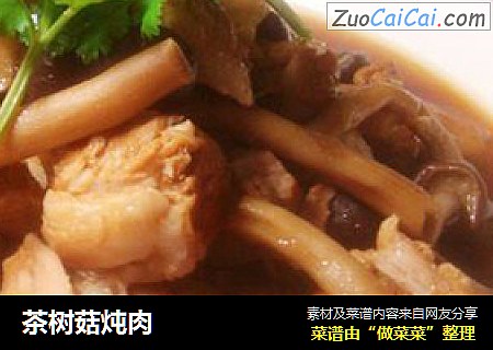 茶树菇炖肉
