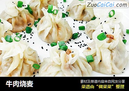 牛肉烧麦
