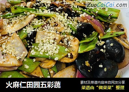 火麻仁田园五彩蔬