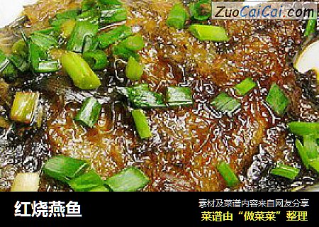 红烧燕鱼