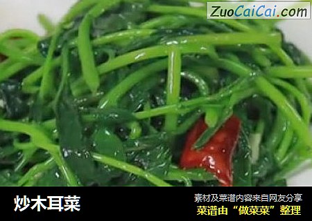 炒木耳菜
