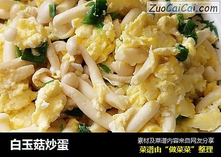 白玉菇炒蛋