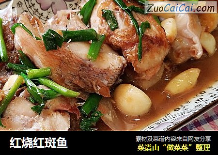 红烧红斑鱼
