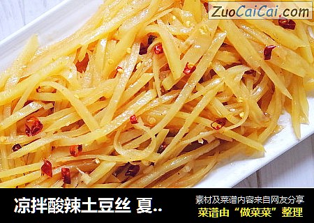 凉拌酸辣土豆丝 夏日快手菜 开胃菜