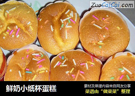 鲜奶小纸杯蛋糕