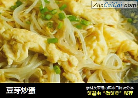 豆芽炒蛋