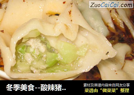 冬季美食--酸辣猪肉芹菜馄饨