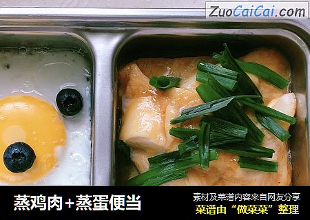 蒸鸡肉+蒸蛋便当