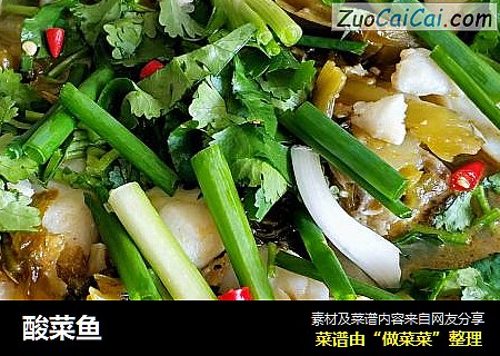 酸菜鱼