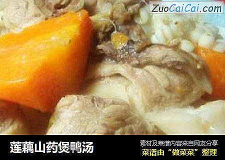 莲藕山药煲鸭汤
