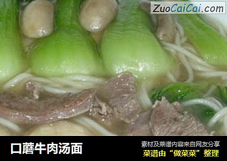 口蘑牛肉汤面