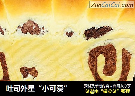 吐司外星“小可爱”