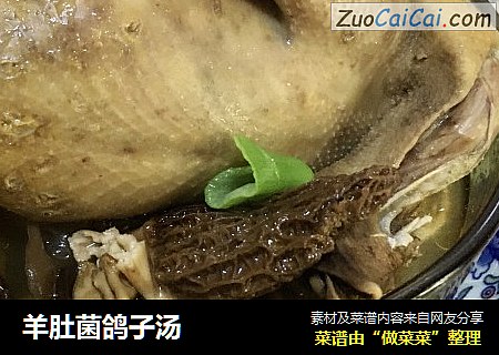 羊肚菌鸽子汤