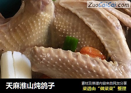 天麻淮山炖鸽子