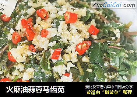 火麻油蒜蓉马齿苋