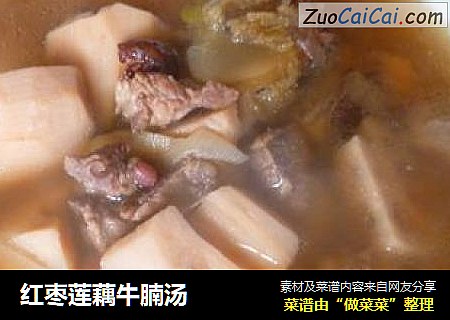 红枣莲藕牛腩汤