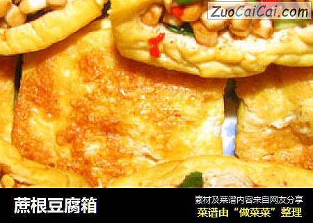 蔗根豆腐箱
