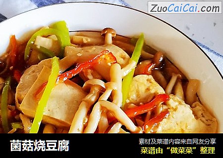 菌菇烧豆腐