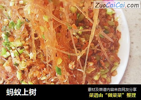 蚂蚁上树