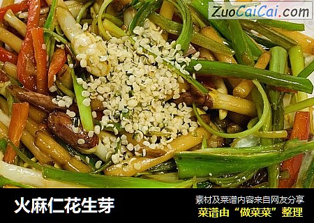 火麻仁花生芽