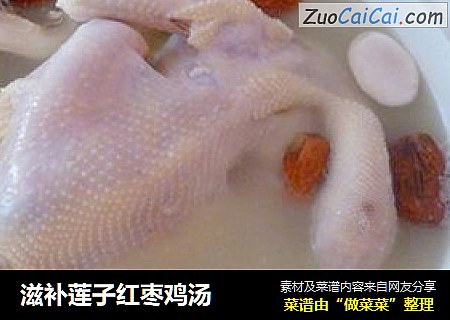 滋补莲子红枣鸡汤