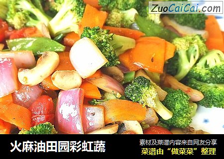 火麻油田园彩虹蔬