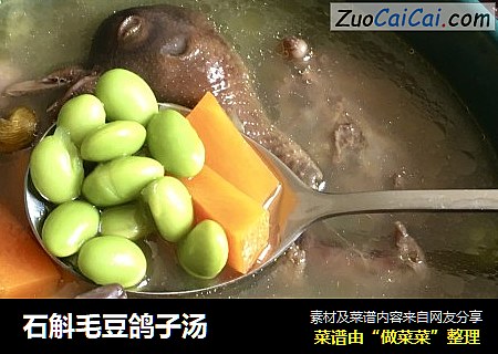 石斛毛豆鸽子汤