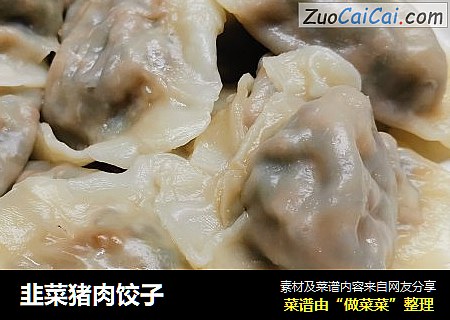 韭菜猪肉饺子