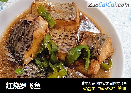 红烧罗飞鱼