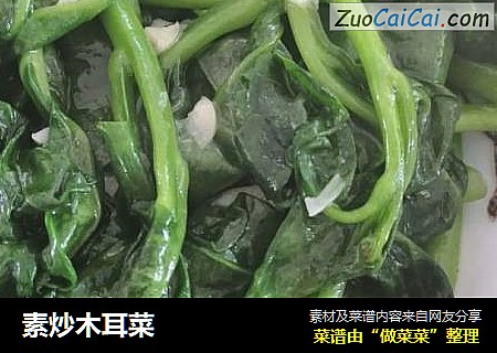 素炒木耳菜