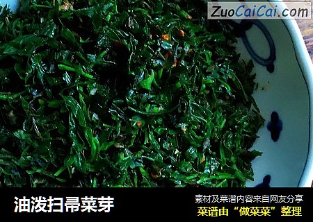 油泼扫帚菜芽