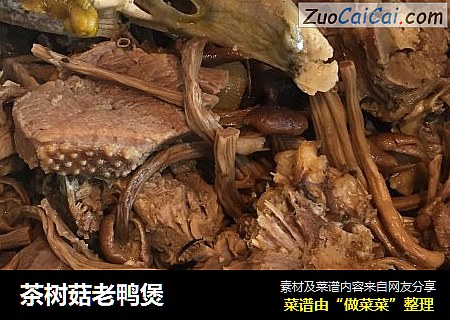 茶树菇老鸭煲