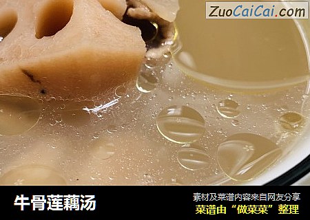 牛骨莲藕汤
