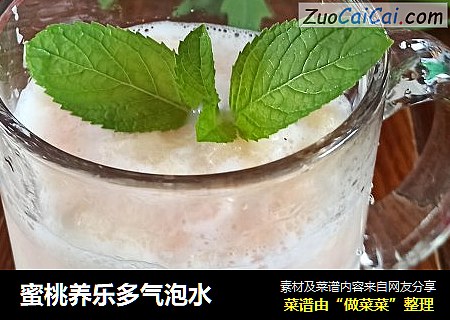 蜜桃养乐多气泡水
